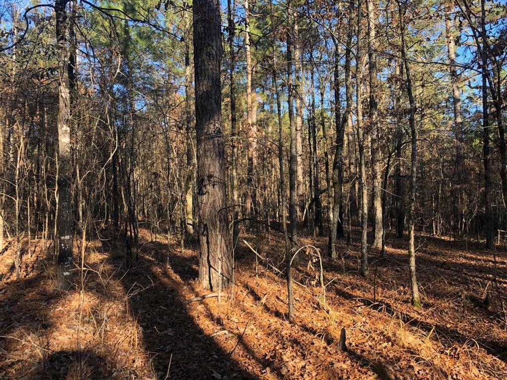 0 Highway 160 Property Photo 30