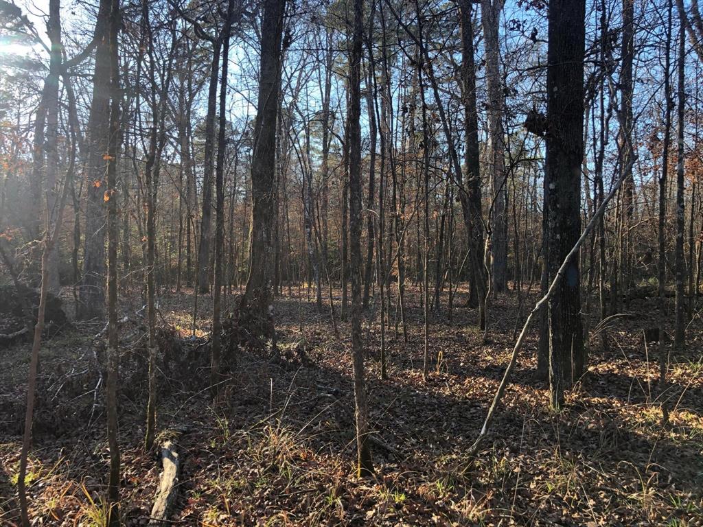 0 Highway 160 Property Photo 33