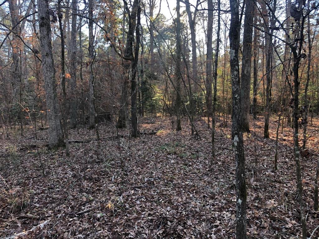 0 Highway 160 Property Photo 34