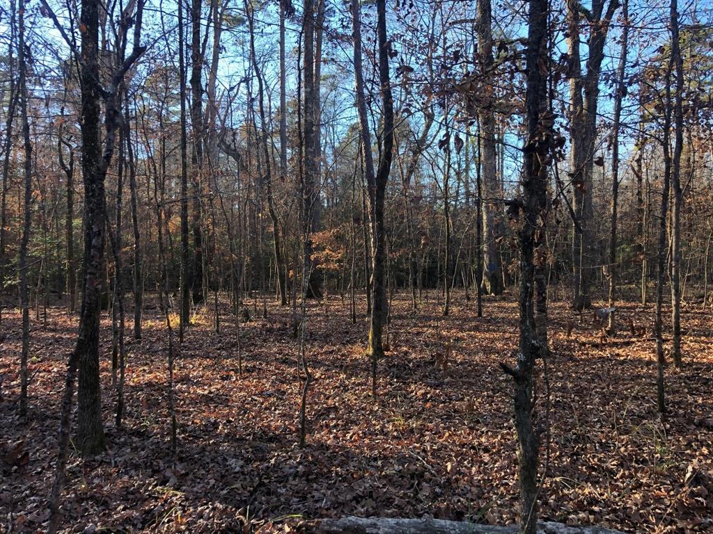 0 Highway 160 Property Photo 35