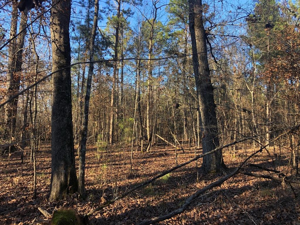 0 Highway 160 Property Photo 36