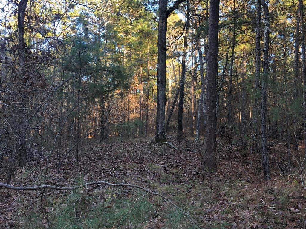 0 Highway 160 Property Photo 38