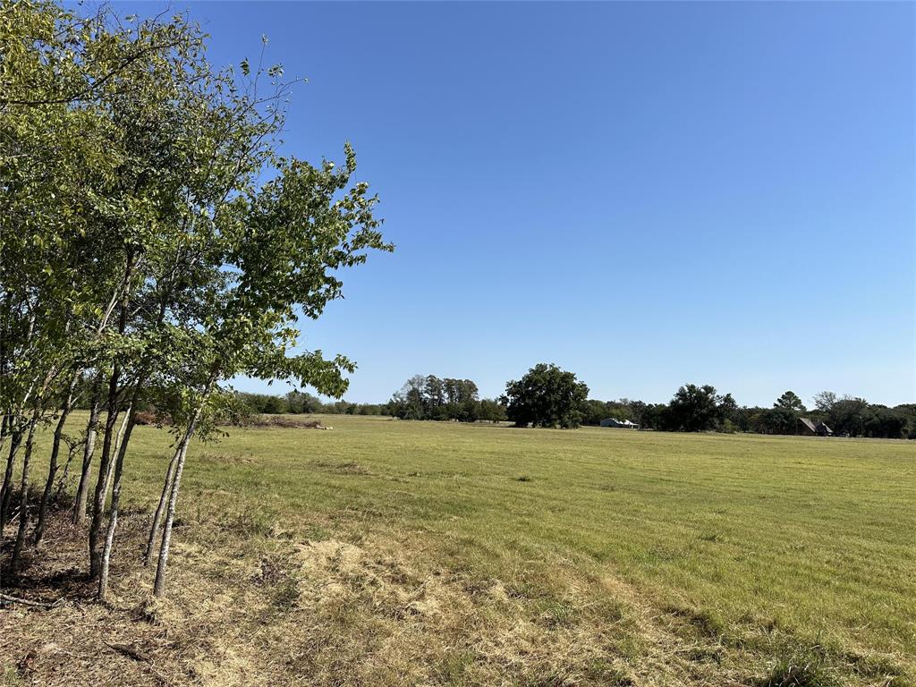 TBD Lot 3 County Road 111 Property Photo 1