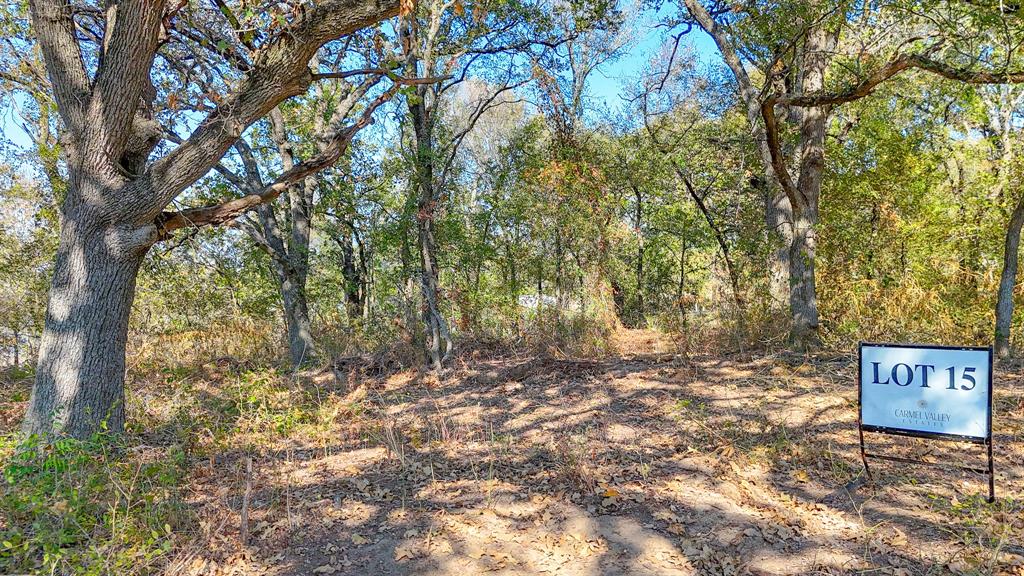 Lot 15 Bordeaux Lane Property Photo 20