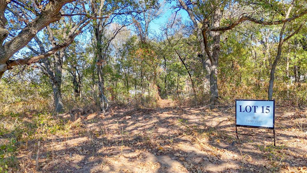 Lot 15 Bordeaux Lane Property Photo 22