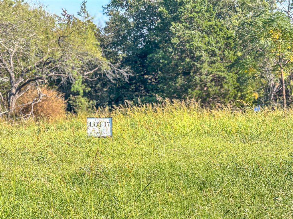 Lot 17 Bordeaux Lane Property Photo 16
