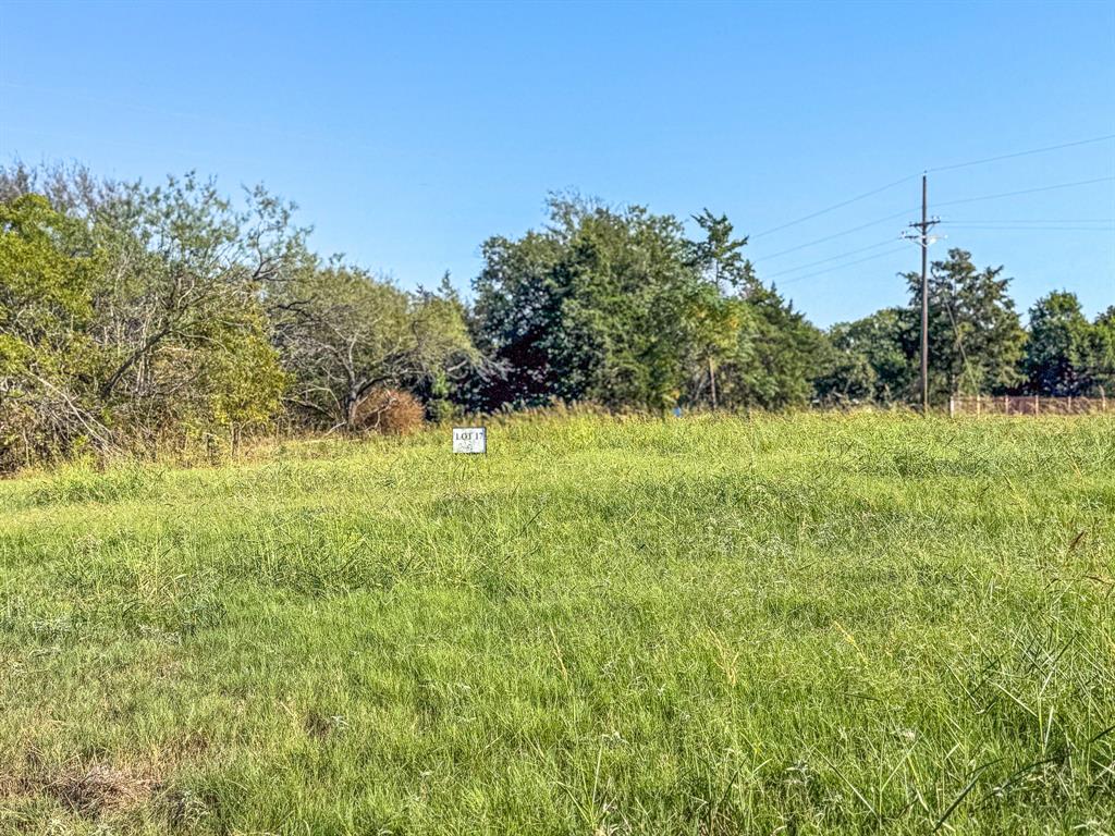 Lot 17 Bordeaux Lane Property Photo 19