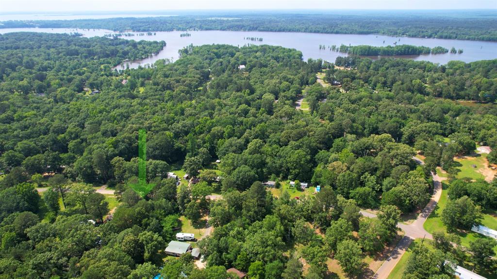 7771 Kemrock Drive Property Photo 11