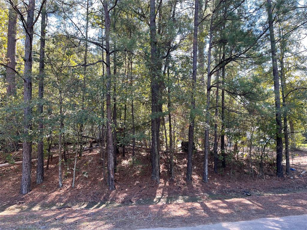 7771 Kemrock Drive Property Photo 13