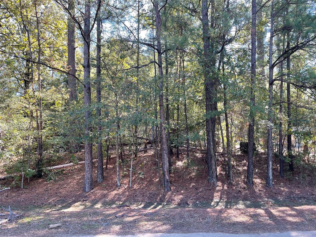 7771 Kemrock Drive Property Photo 14