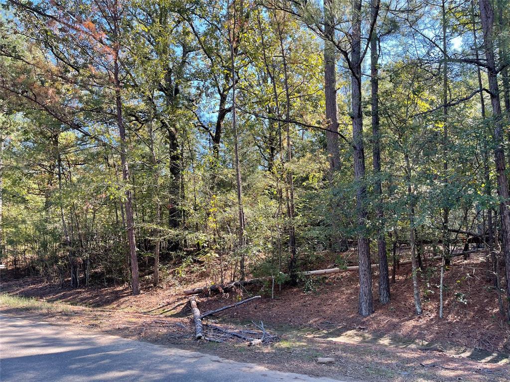7771 Kemrock Drive Property Photo 15