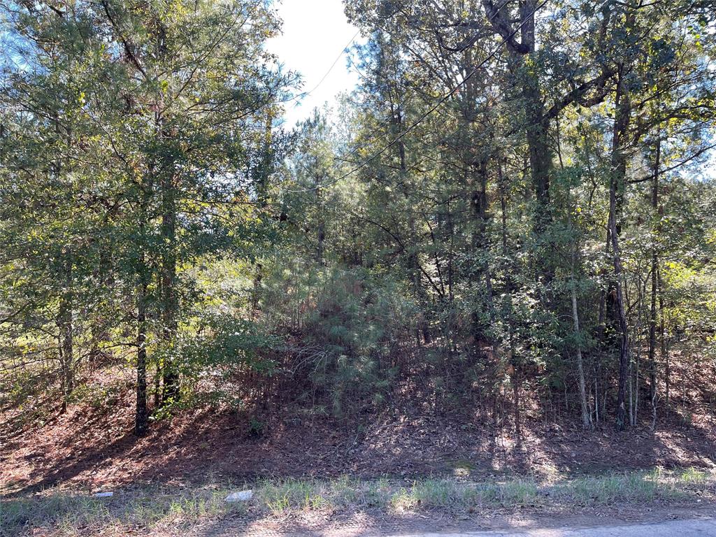 7771 Kemrock Drive Property Photo 16