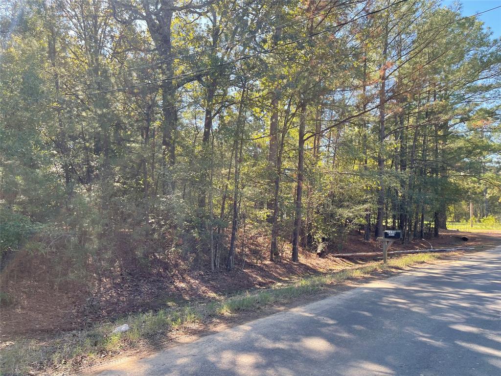 7771 Kemrock Drive Property Photo 17