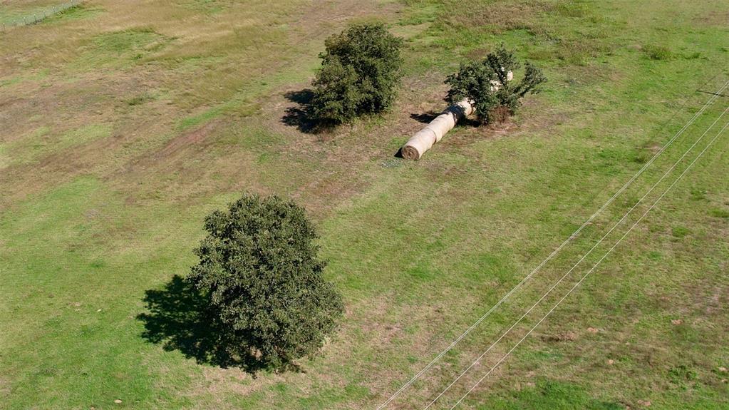 Tbd Hill County Road 1429 Property Photo 22