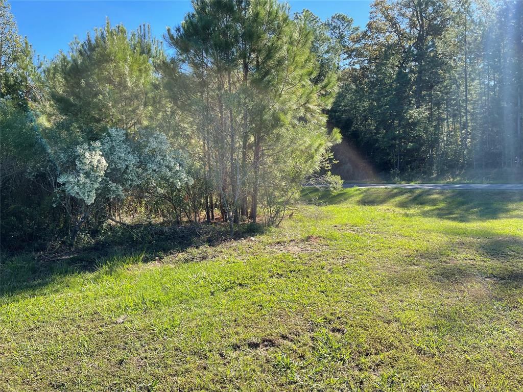 Lot 5 Jack Todd Drive Property Photo 12
