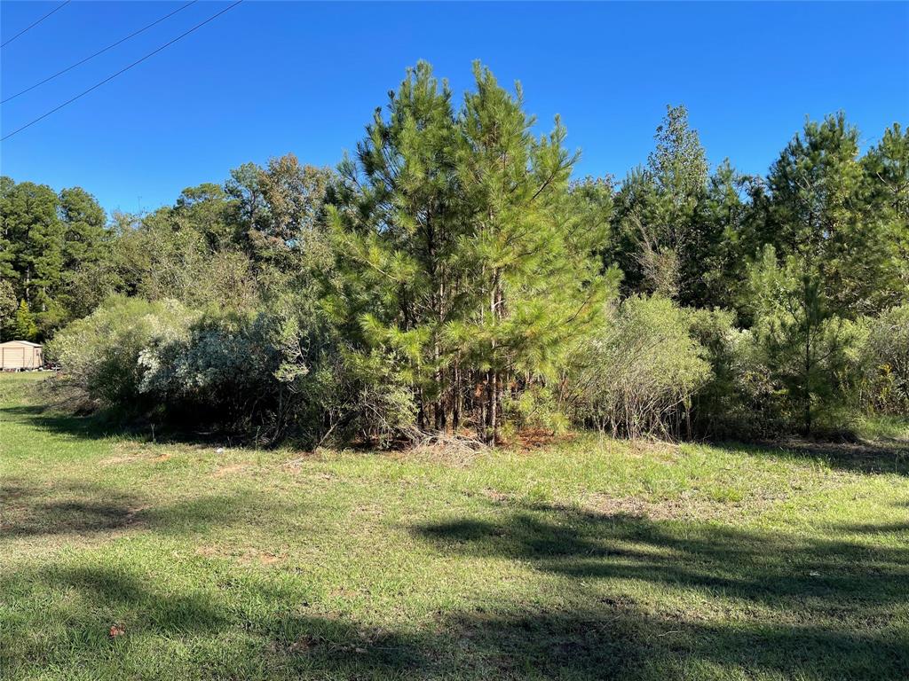 Lot 5 Jack Todd Drive Property Photo 13