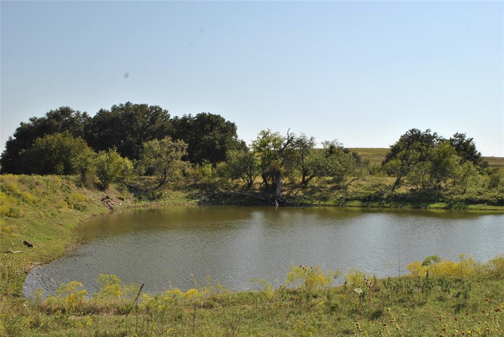 0000 Hwy 590 Property Photo 6