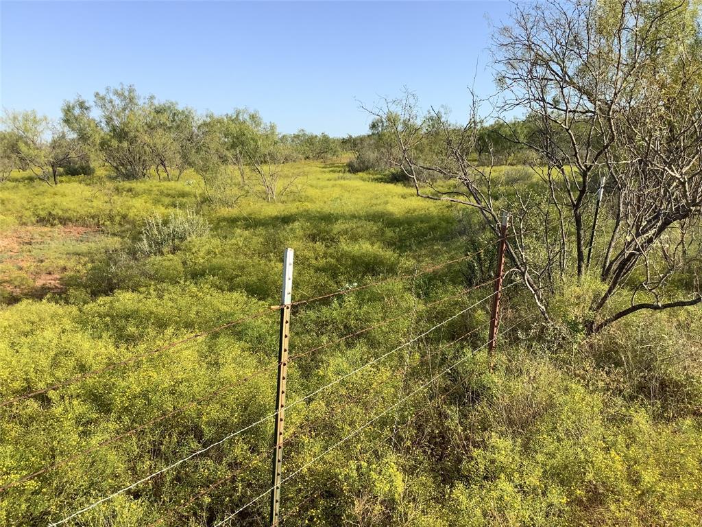 Tbd Fm 569 Property Photo 2