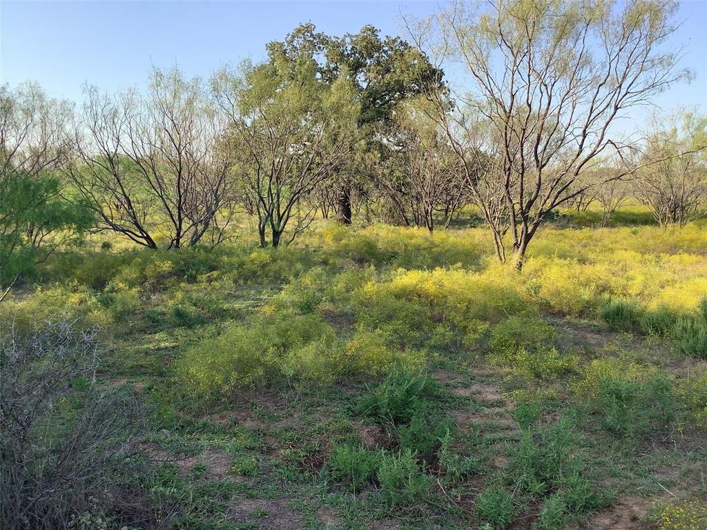 Tbd Fm 569 Property Photo 4