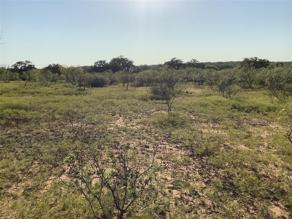 Tbd Fm 569 Property Photo 6