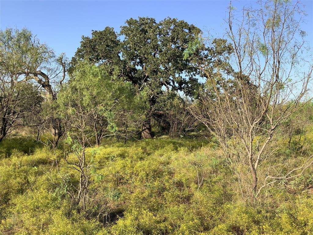 Tbd Fm 569 Property Photo 7