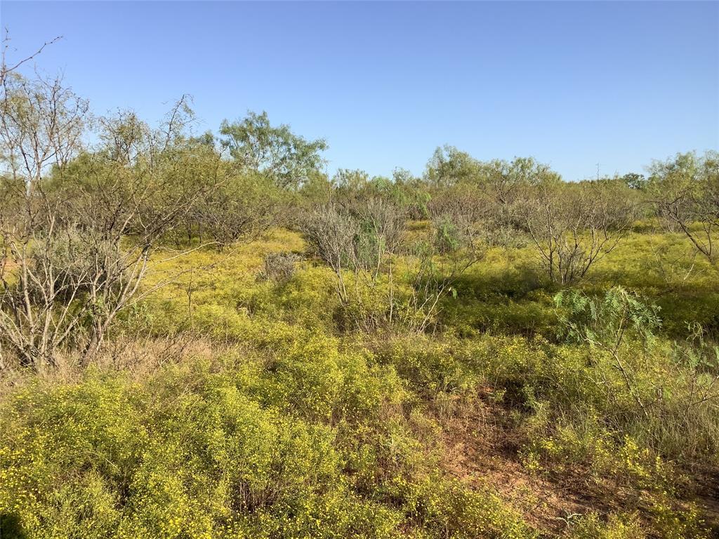 Tbd Fm 569 Property Photo 10
