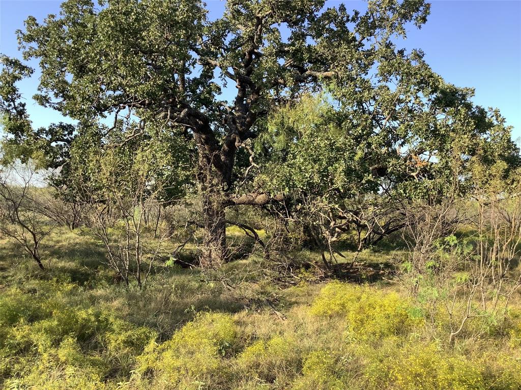 Tbd Fm 569 Property Photo 12