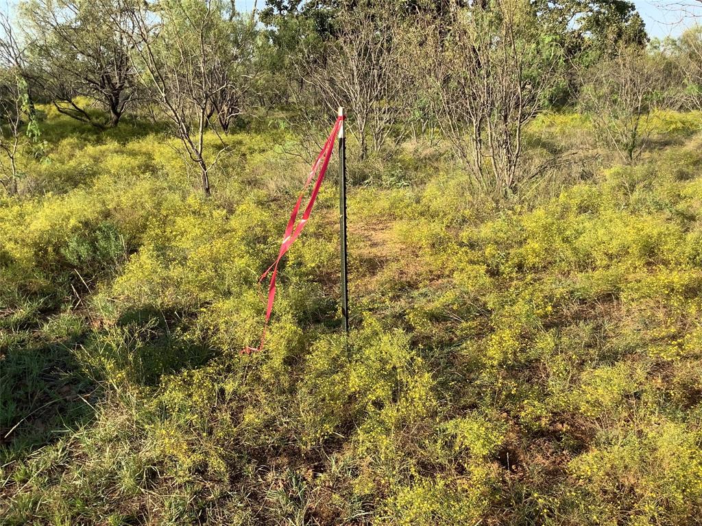 Tbd Fm 569 Property Photo 13