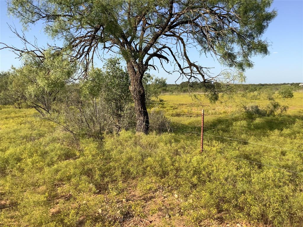 Tbd Fm 569 Property Photo 14