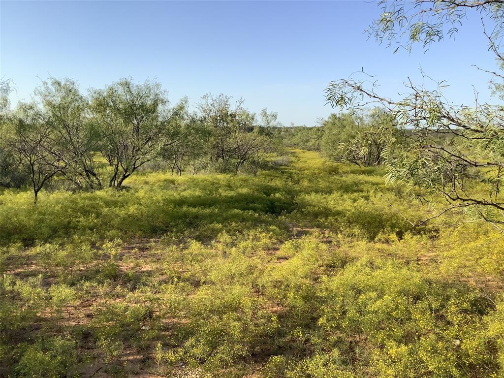 Tbd Fm 569 Property Photo 15
