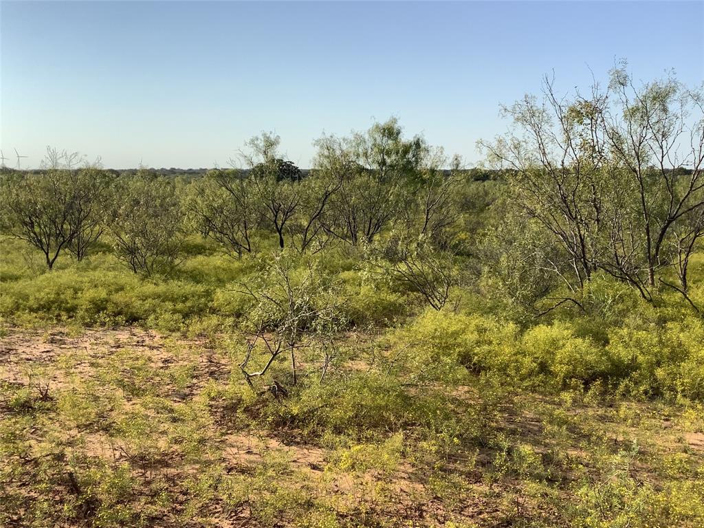 Tbd Fm 569 Property Photo 16