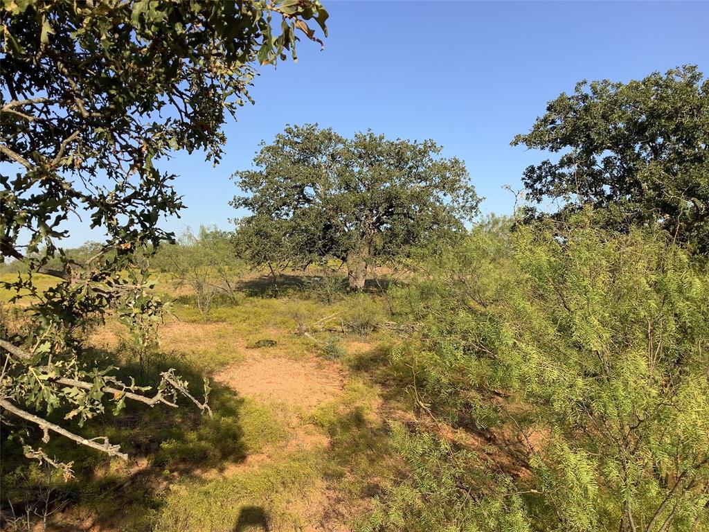 Tbd Fm 569 Property Photo 17