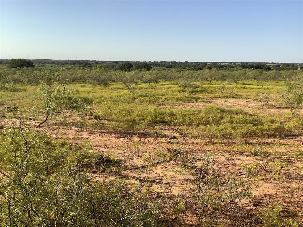 Tbd Fm 569 Property Photo 18