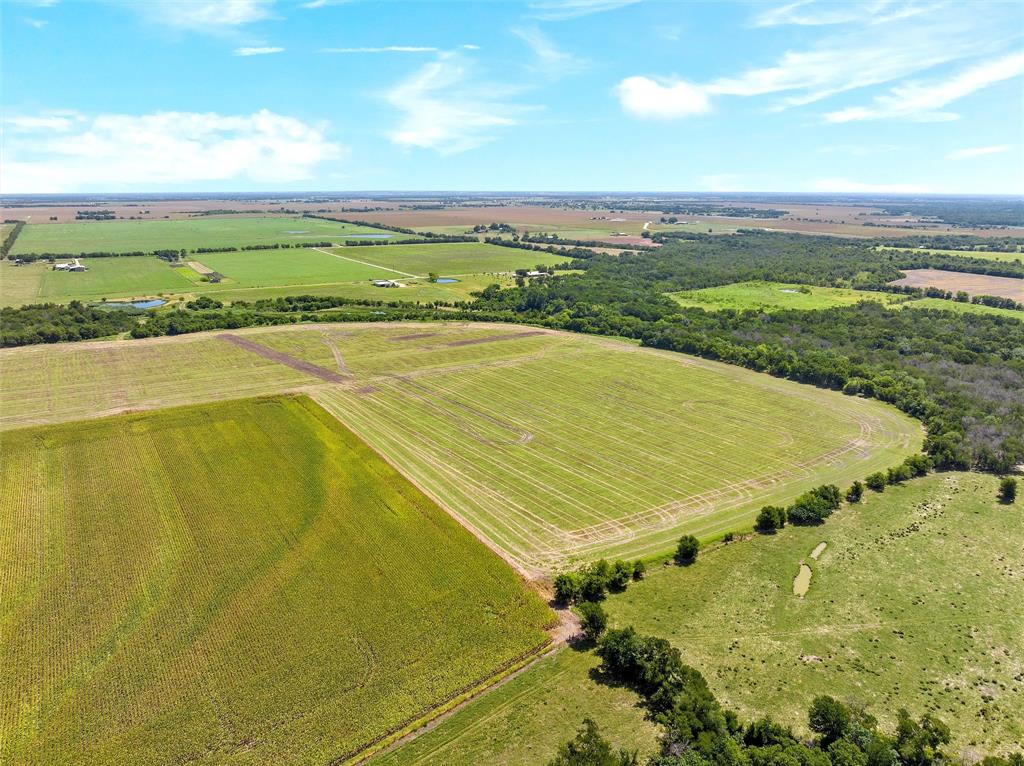 13901 Pecan School Road Property Photo 30
