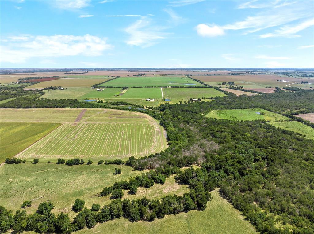 13901 Pecan School Road Property Photo 31