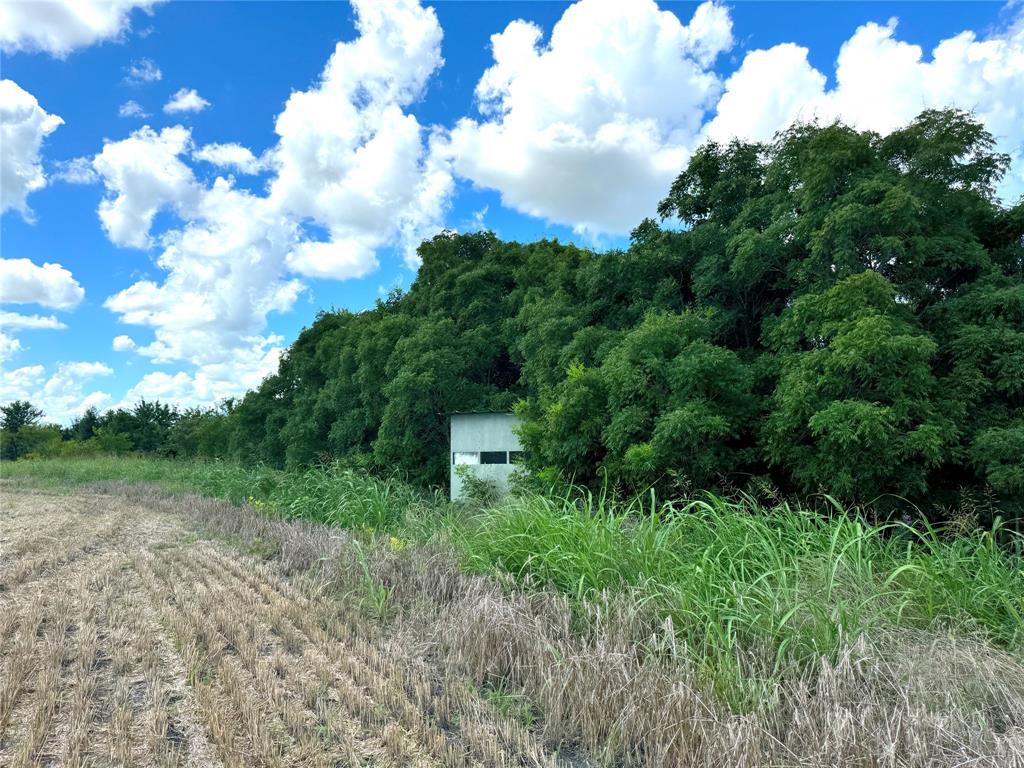 13901 Pecan School Road Property Photo 32