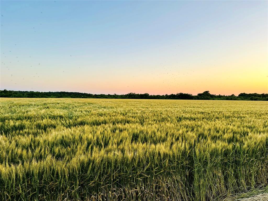 13901 Pecan School Road Property Photo 34