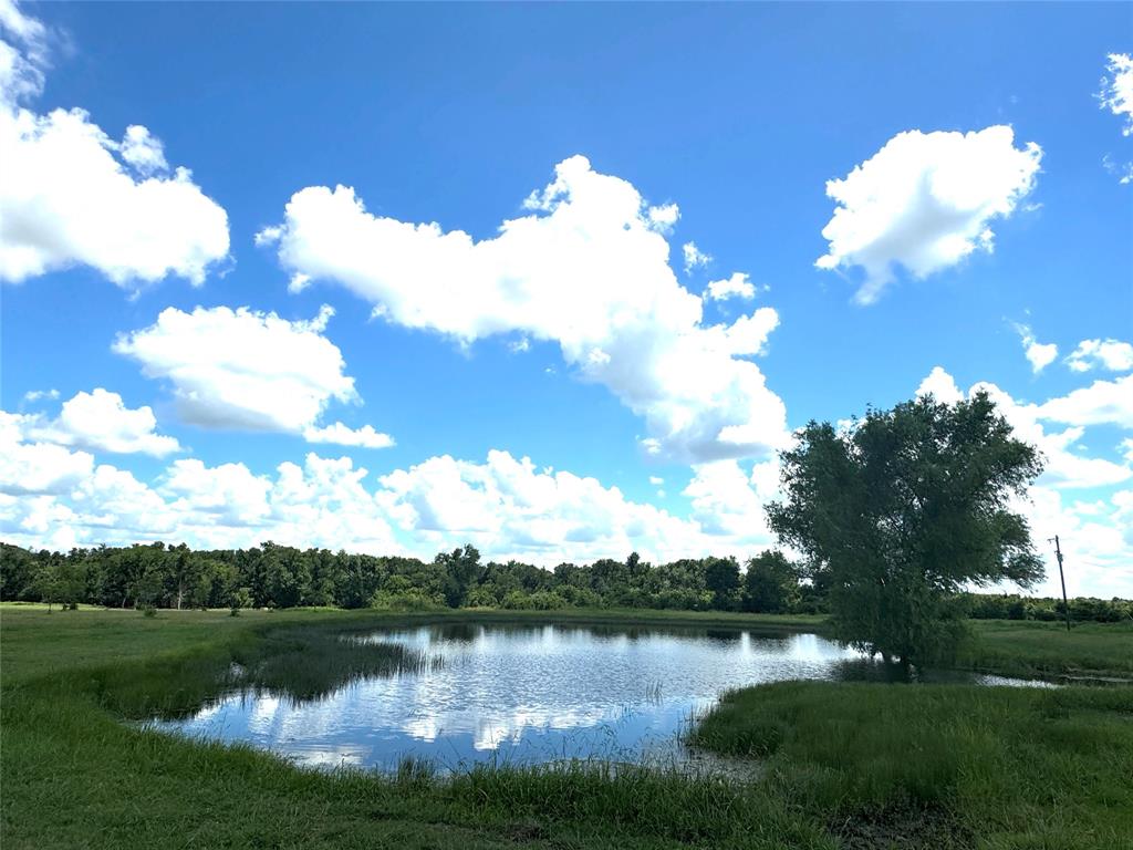 13901 Pecan School Road Property Photo 35