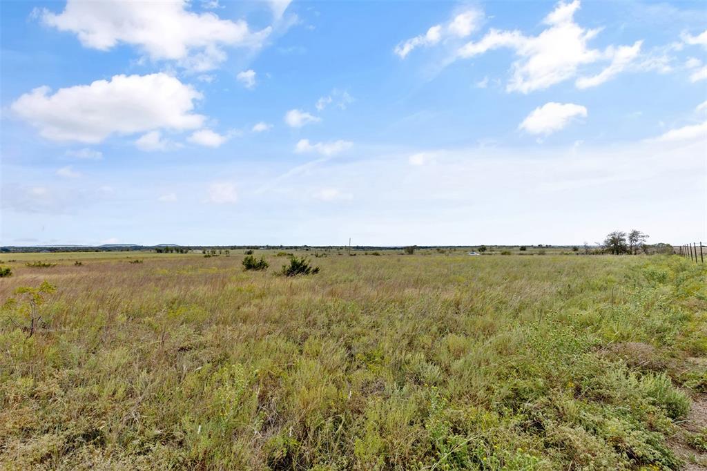 Tbd County Road 210 Property Photo 3