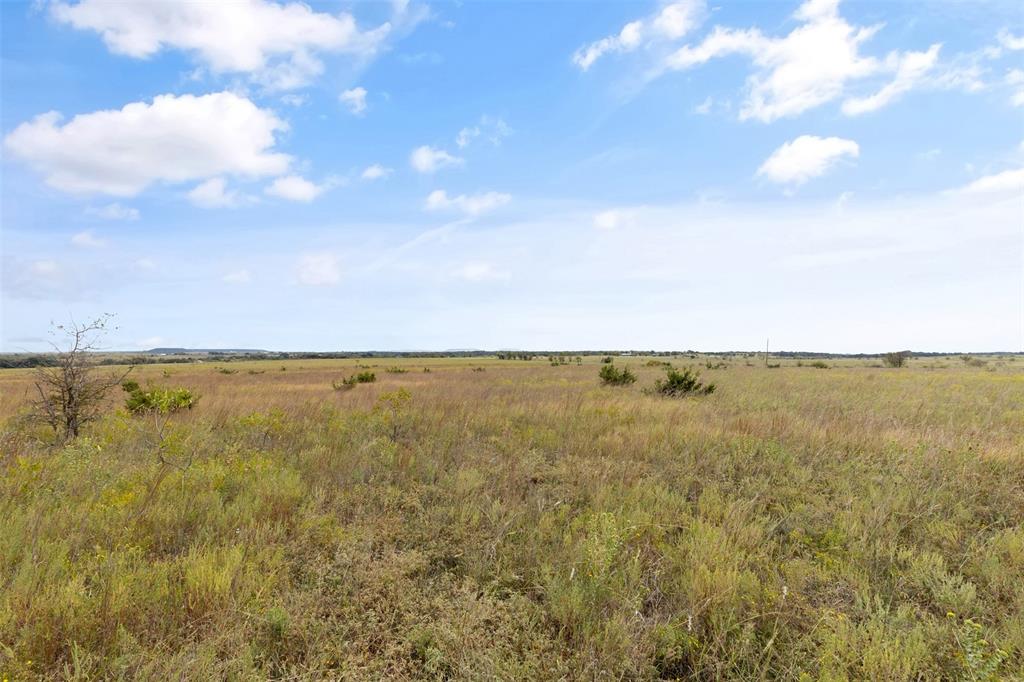 Tbd County Road 210 Property Photo 4