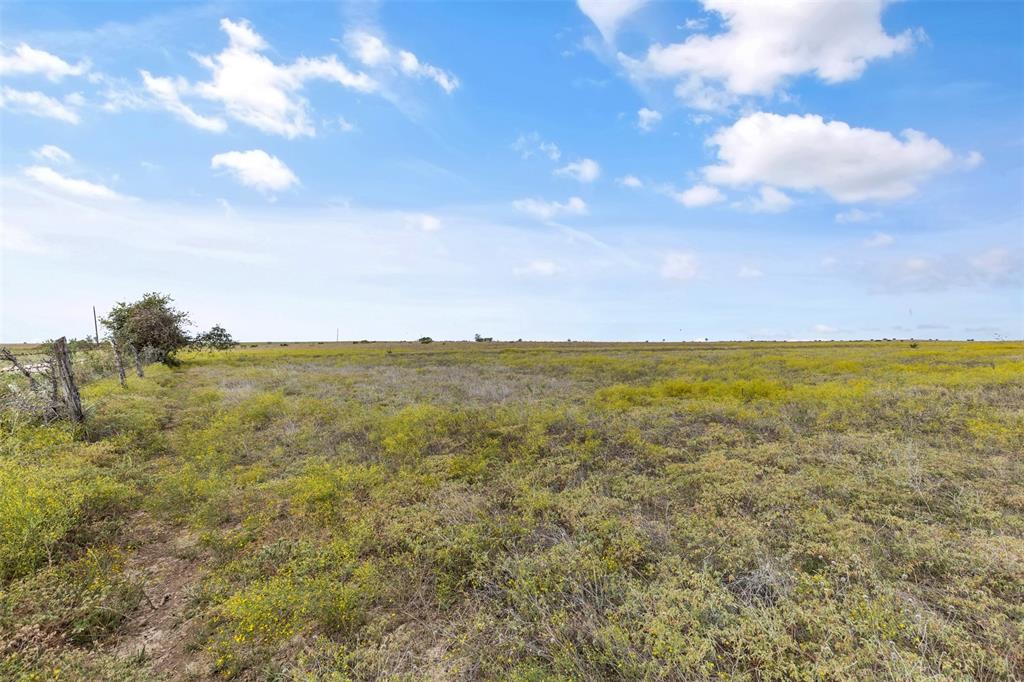 Tbd County Road 210 Property Photo 5