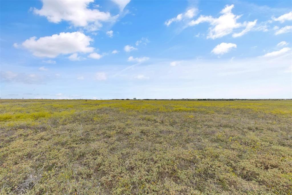 Tbd County Road 210 Property Photo 6