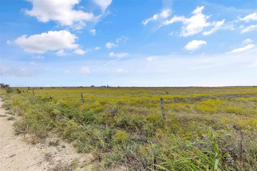 Tbd County Road 210 Property Photo 7