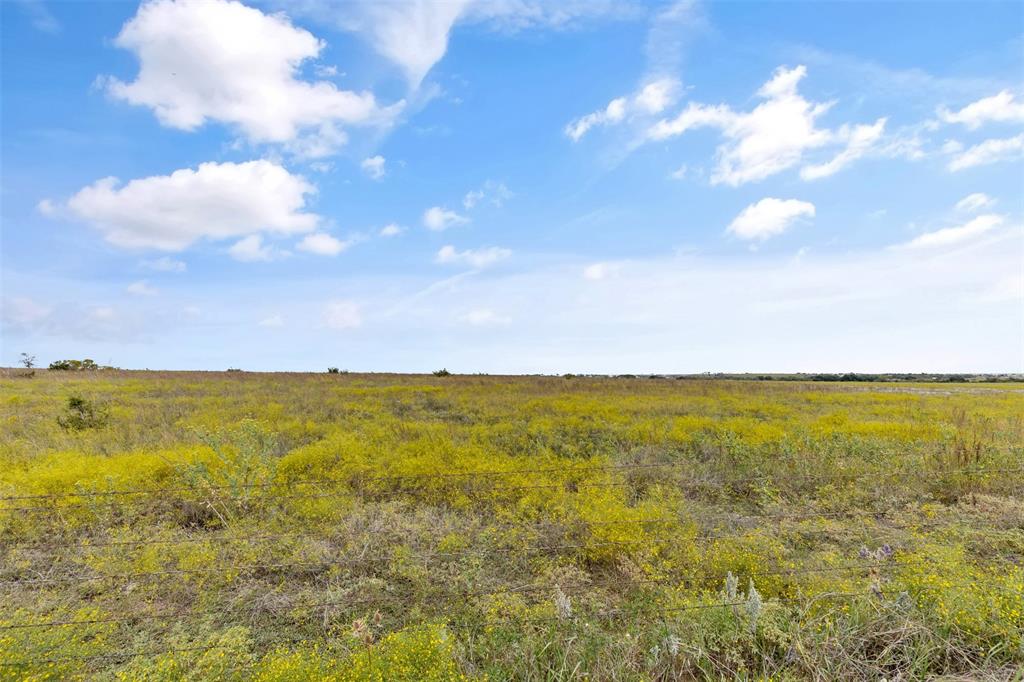 Tbd County Road 210 Property Photo 8