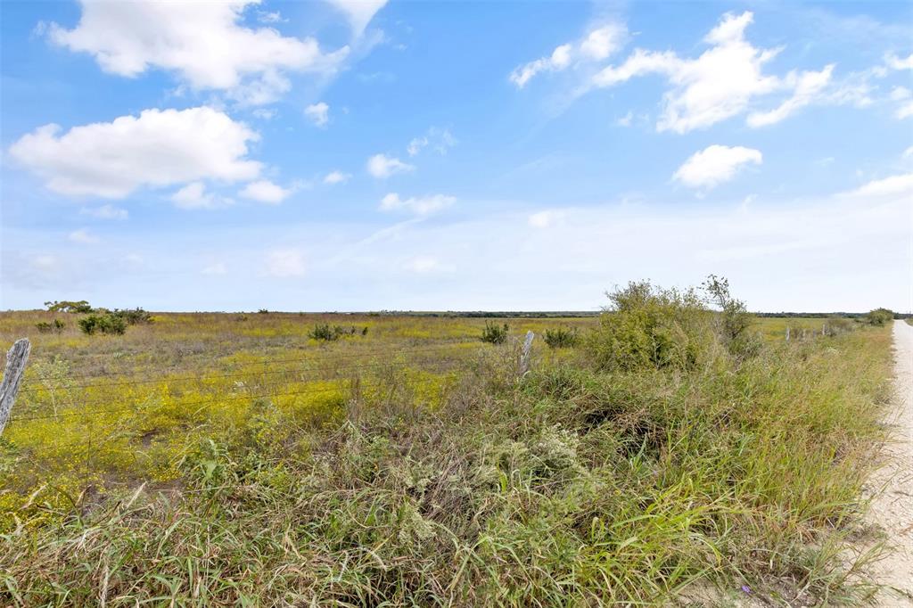 Tbd County Road 210 Property Photo 9
