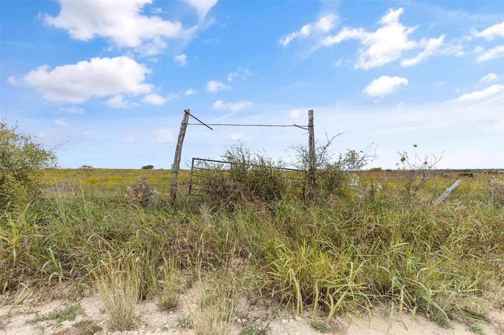 Tbd County Road 210 Property Photo 10