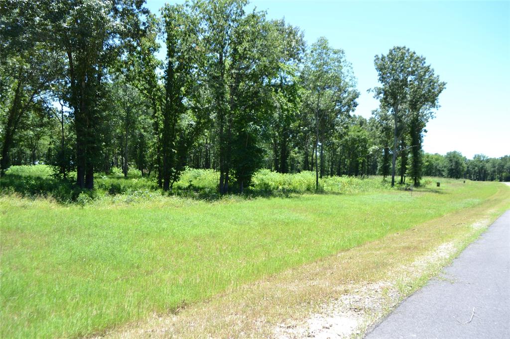 Lot 36 Angler Shores Drive Property Photo 5