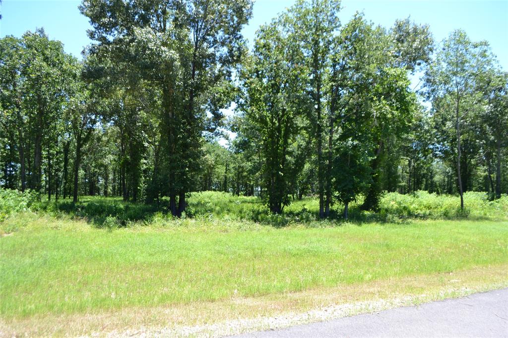 Lot 36 Angler Shores Drive Property Photo 6