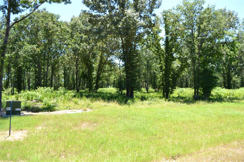 Lot 36 Angler Shores Drive Property Photo 7