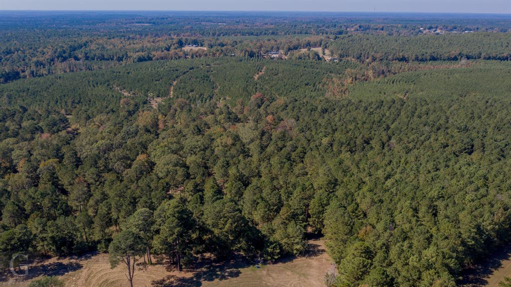 0 Hwy 159 Highway Property Photo 3